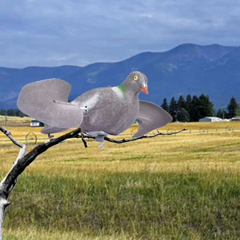 Outdoor Pigeons Motion Decoy