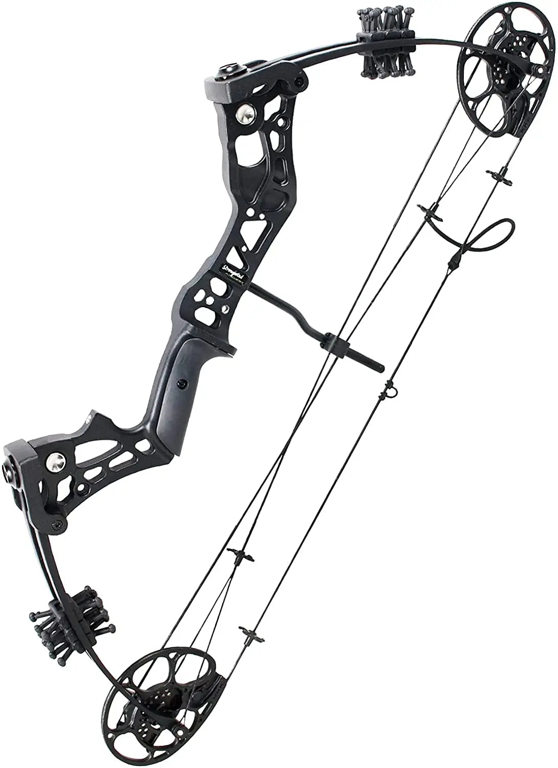 Compound Bow