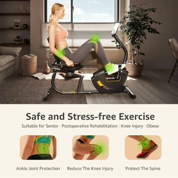 Recumbent Exercise Bike