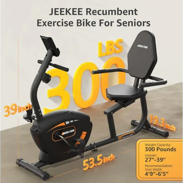 Recumbent Exercise Bike