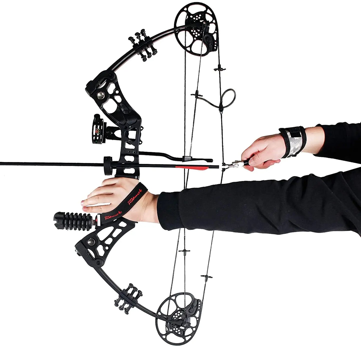 Compound Bow